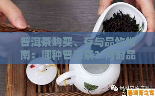 普洱茶购买、存与品饮指南：哪种普洱茶？何时品尝效果？