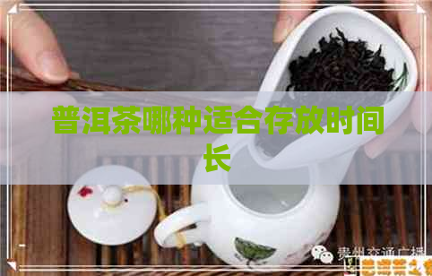 普洱茶哪种适合存放时间长