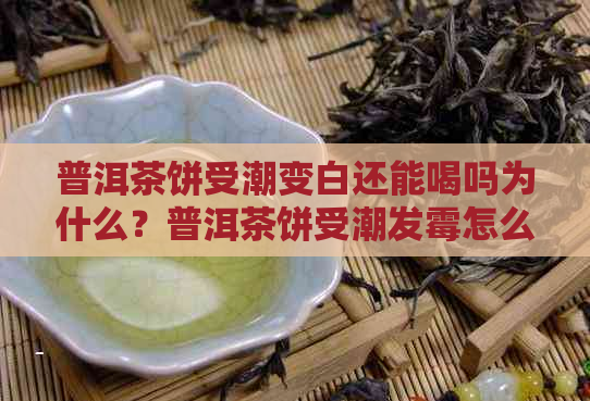 普洱茶饼受潮变白还能喝吗为什么？普洱茶饼受潮发霉怎么办？