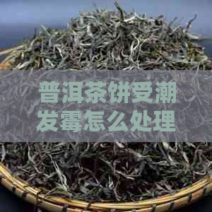 普洱茶饼受潮发霉怎么处理干净？