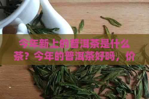 今年新上的普洱茶是什么茶？今年的普洱茶好吗，价格有没有升价？