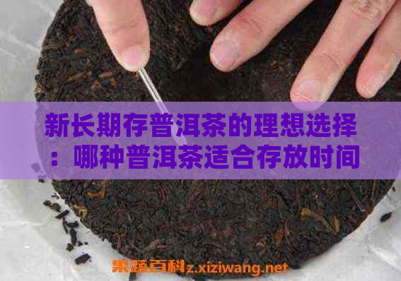 新长期存普洱茶的理想选择：哪种普洱茶适合存放时间长并保持其风味？