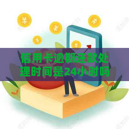 信用卡逾期还款处理时间是24小时吗？解答所有用户的疑问