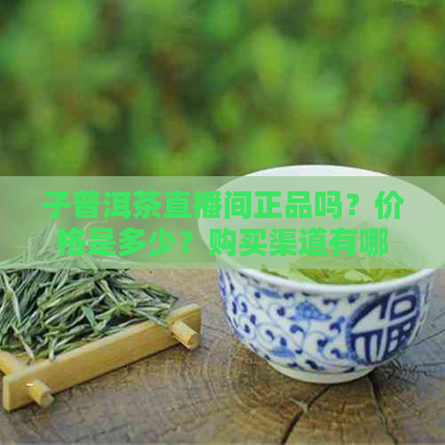 子普洱茶直播间正品吗？价格是多少？购买渠道有哪些？如何鉴别真伪？