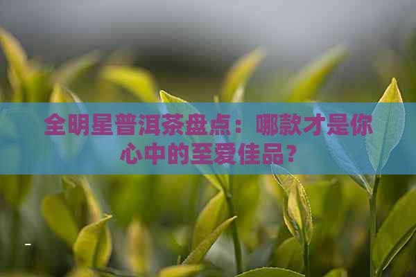 全明星普洱茶盘点：哪款才是你心中的至爱佳品？