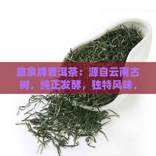 鑫象牌普洱茶：源自云南古树，纯正发酵，独特风味，助你健人生