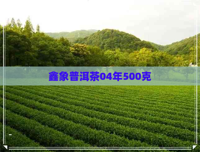 鑫象普洱茶04年500克