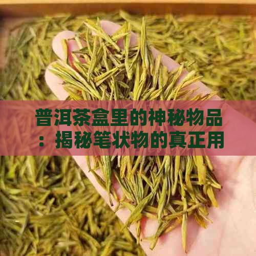 普洱茶盒里的神秘物品：揭秘笔状物的真正用途及作用