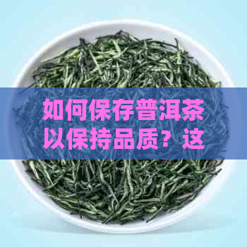 如何保存普洱茶以保持品质？这里有一份实用指南！