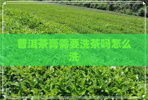 普洱茶膏需要洗茶吗怎么洗