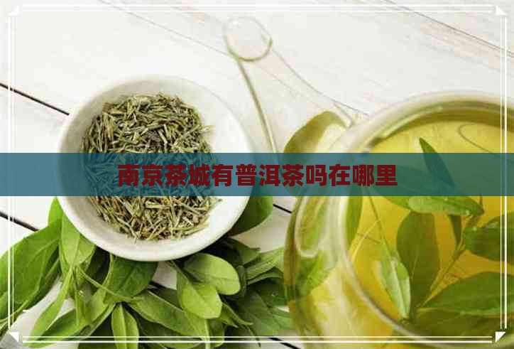 南京茶城有普洱茶吗在哪里