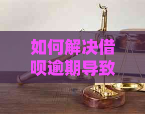 如何解决借呗逾期导致分期被取消的问题？