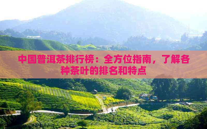 中国普洱茶排行榜：全方位指南，了解各种茶叶的排名和特点