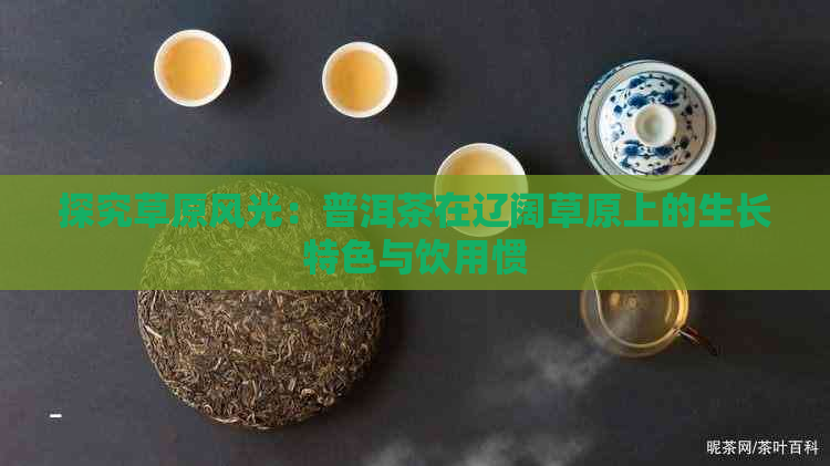 探究草原风光：普洱茶在辽阔草原上的生长特色与饮用惯