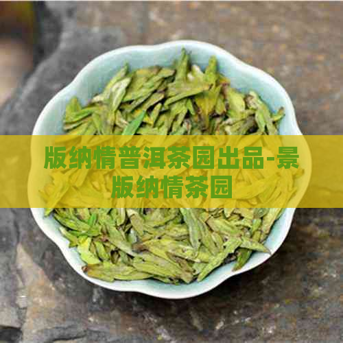 版纳情普洱茶园出品-景版纳情茶园