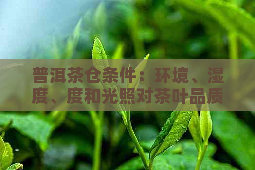 普洱茶仓条件：环境、湿度、度和光照对茶叶品质的影响