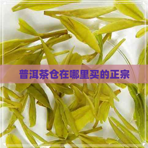 普洱茶仓在哪里买的正宗