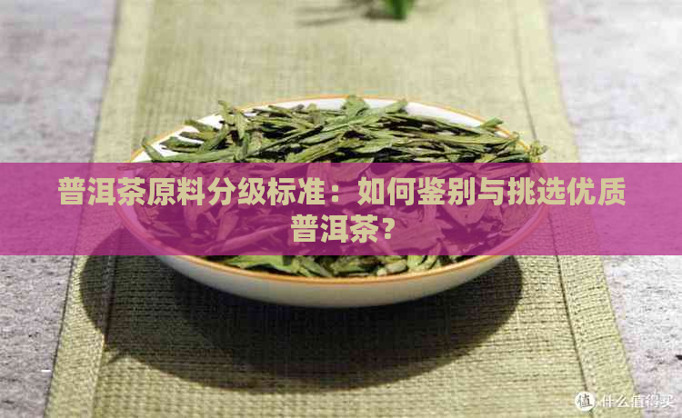 普洱茶原料分级标准：如何鉴别与挑选优质普洱茶？