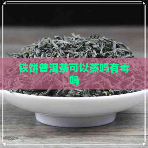 铁饼普洱茶可以蒸吗有吗