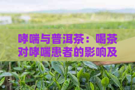 哮喘与普洱茶：喝茶对哮喘患者的影响及注意事项