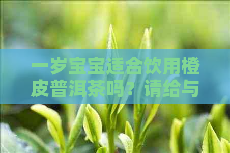 一岁宝宝适合饮用橙皮普洱茶吗？请给与指导