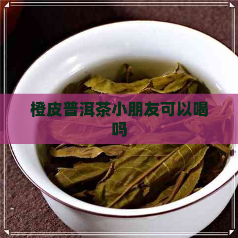 橙皮普洱茶小朋友可以喝吗