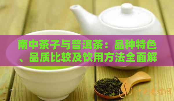 南中茶子与普洱茶：品种特色、品质比较及饮用方法全面解析