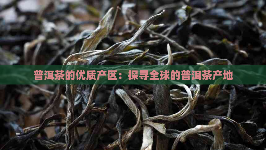 普洱茶的优质产区：探寻全球的普洱茶产地