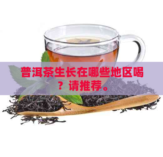 普洱茶生长在哪些地区喝？请推荐。