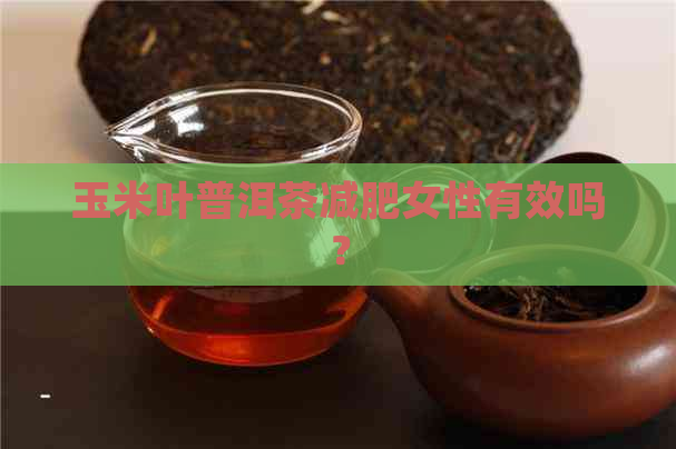 玉米叶普洱茶减肥女性有效吗？