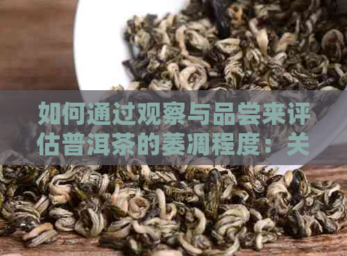 如何通过观察与品尝来评估普洱茶的萎凋程度：关键步骤与判断标准