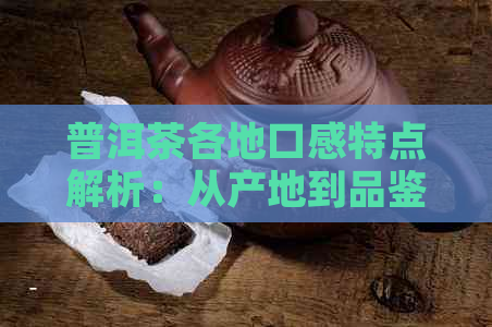 普洱茶各地口感特点解析：从产地到品鉴，全面了解普洱茶的风味差异