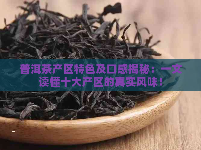 普洱茶产区特色及口感揭秘：一文读懂十大产区的真实风味！