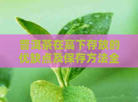 普洱茶在高下存放的优缺点及保存方法全面解析