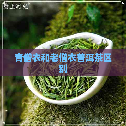 青僧衣和老僧衣普洱茶区别