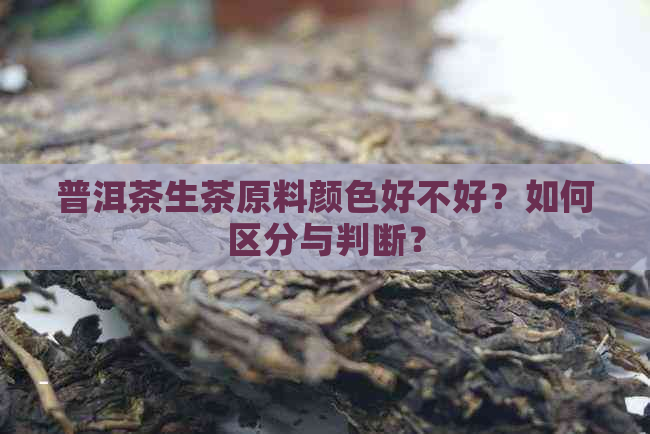 普洱茶生茶原料颜色好不好？如何区分与判断？