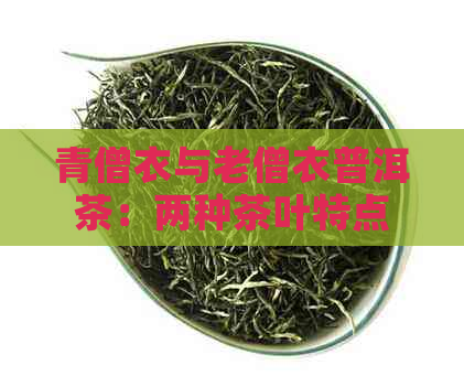 青僧衣与老僧衣普洱茶：两种茶叶特点对比与辨析，让你轻松了解它们的区别