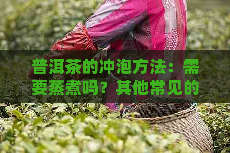 普洱茶的冲泡方法：需要蒸煮吗？其他常见的冲泡方式有哪些？