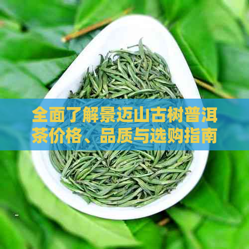 全面了解景迈山古树普洱茶价格、品质与选购指南，助您轻松找到心仪的茶叶