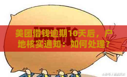 美团借钱逾期10天后，户地核实通知：如何处理？