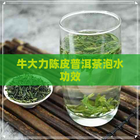 牛大力陈皮普洱茶泡水功效