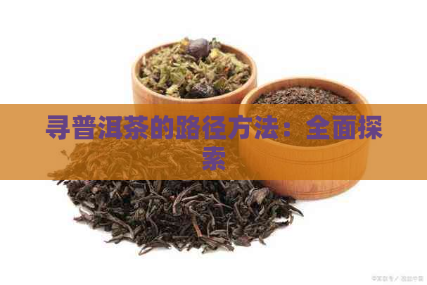 寻普洱茶的路径方法：全面探索