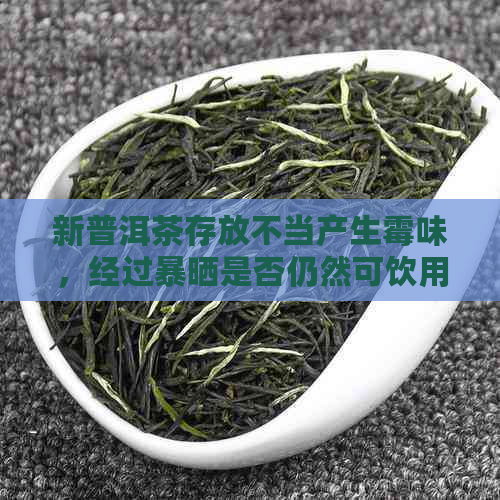 新普洱茶存放不当产生霉味，经过暴晒是否仍然可饮用？