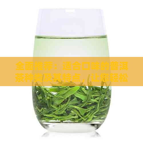 全面推荐：适合口味的普洱茶种类及其特点，让您轻松选对口粮茶！