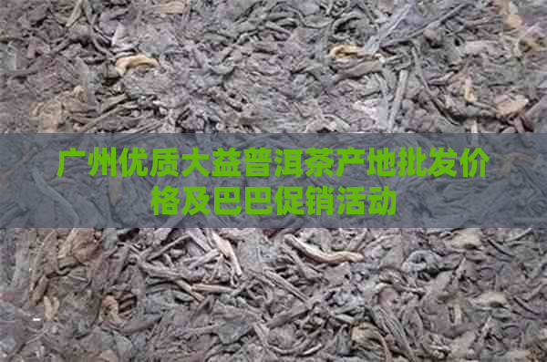 广州优质大益普洱茶产地批发价格及巴巴促销活动