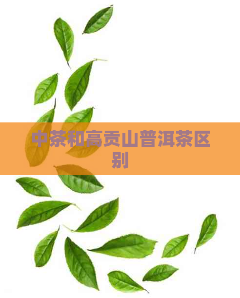 中茶和高贡山普洱茶区别