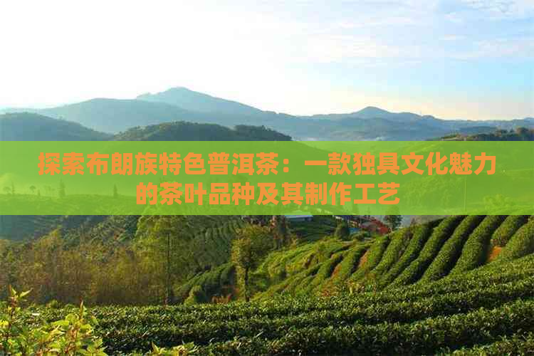 探索布朗族特色普洱茶：一款独具文化魅力的茶叶品种及其制作工艺