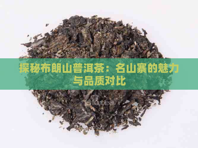 探秘布朗山普洱茶：名山寨的魅力与品质对比