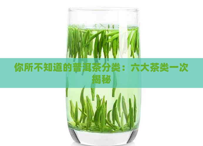 你所不知道的普洱茶分类：六大茶类一次揭秘