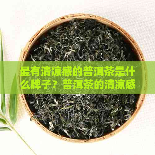 最有清凉感的普洱茶是什么牌子？普洱茶的清凉感是什么含义？